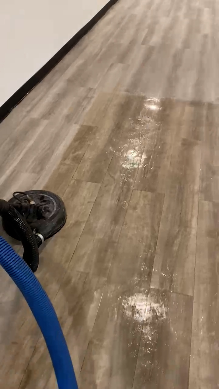 IMG_5445.00_00_21_19.Still001